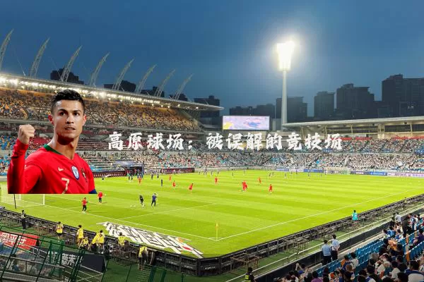 高原球场：被误解的竞技场